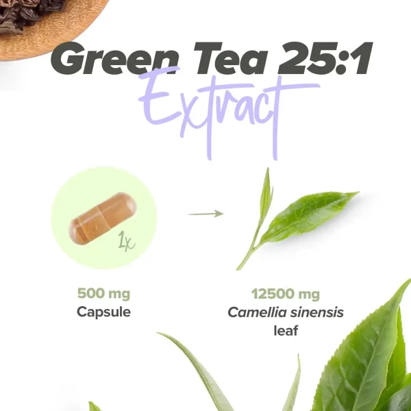 GREEN TEA EXTRACT (25:1) 500mg